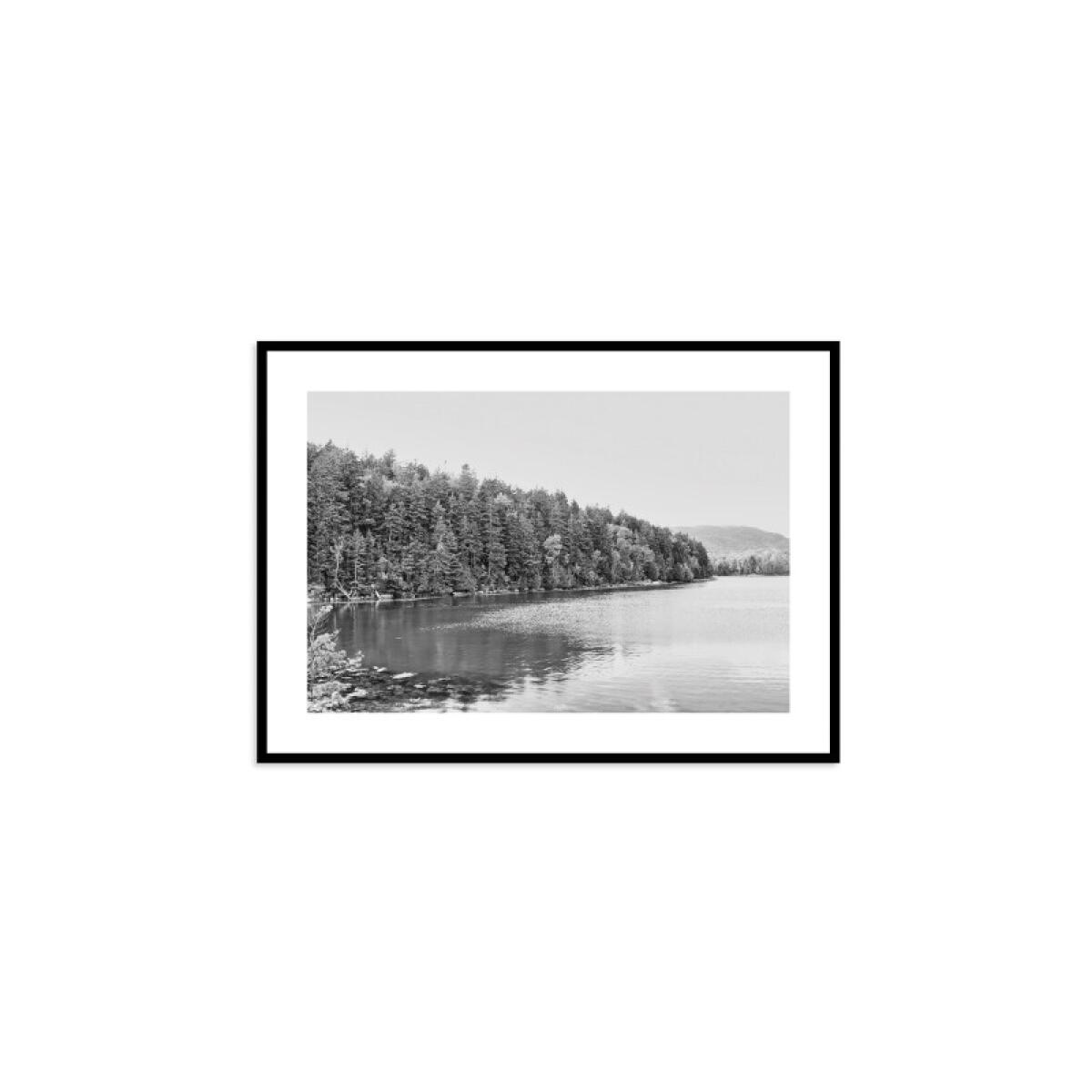 873e6b757675ade5287a63a0cbd2a76d Acadia Tree Line - Image 1