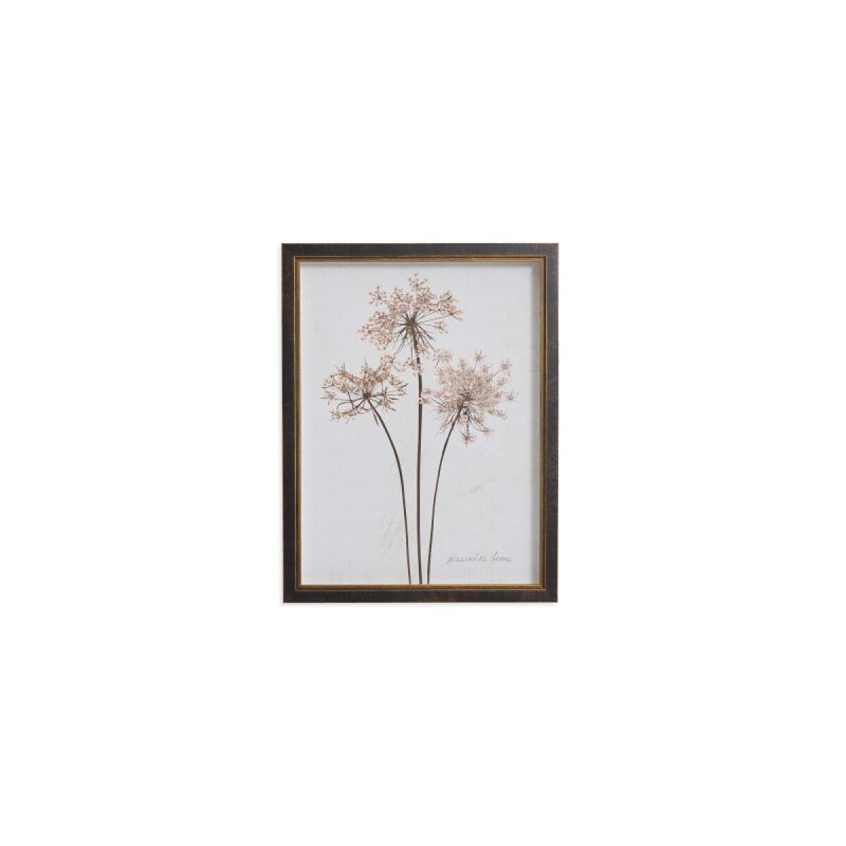 88231f540f764c570baf29875574d321 Sepia Pressed Dandelions - Image 1