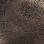 Peonia Indoor-outdoor Wall Decor, Bronze, S/3 - Image 3