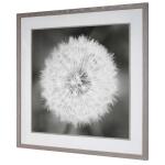 Dandelion Seedhead Framed Print - Image 6
