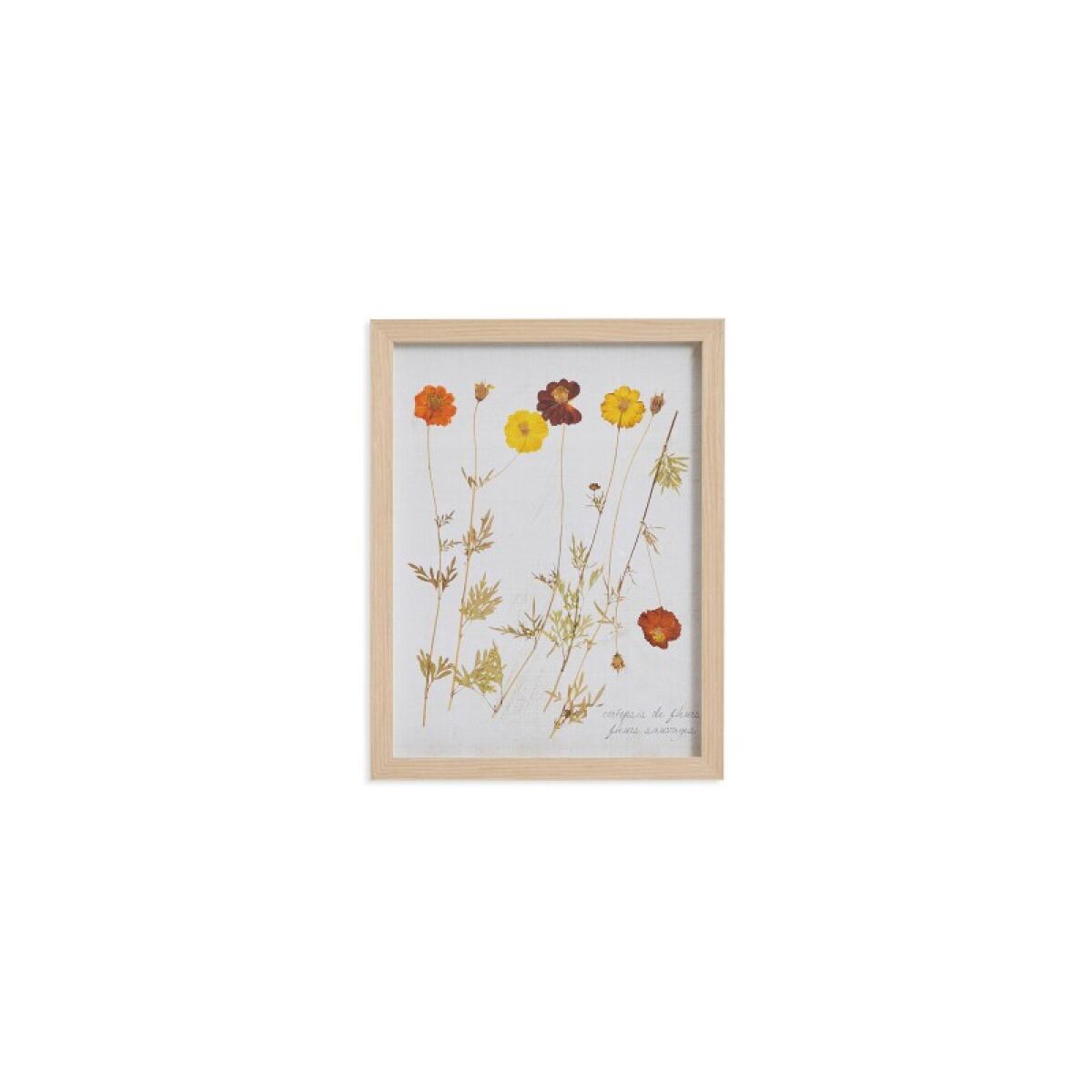 8dd8fead32123878781d7b5189a2d63e Pressed Wild Poppies - Image 1