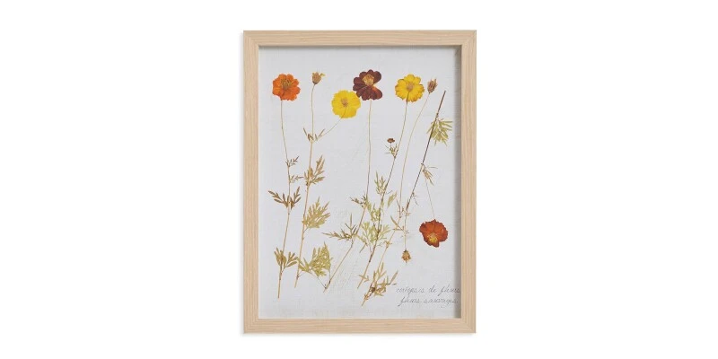 8dd8fead32123878781d7b5189a2d63e Pressed Wild Poppies - Image 1