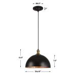 Placuna, 1 Lt Pendant Lighting Black 21