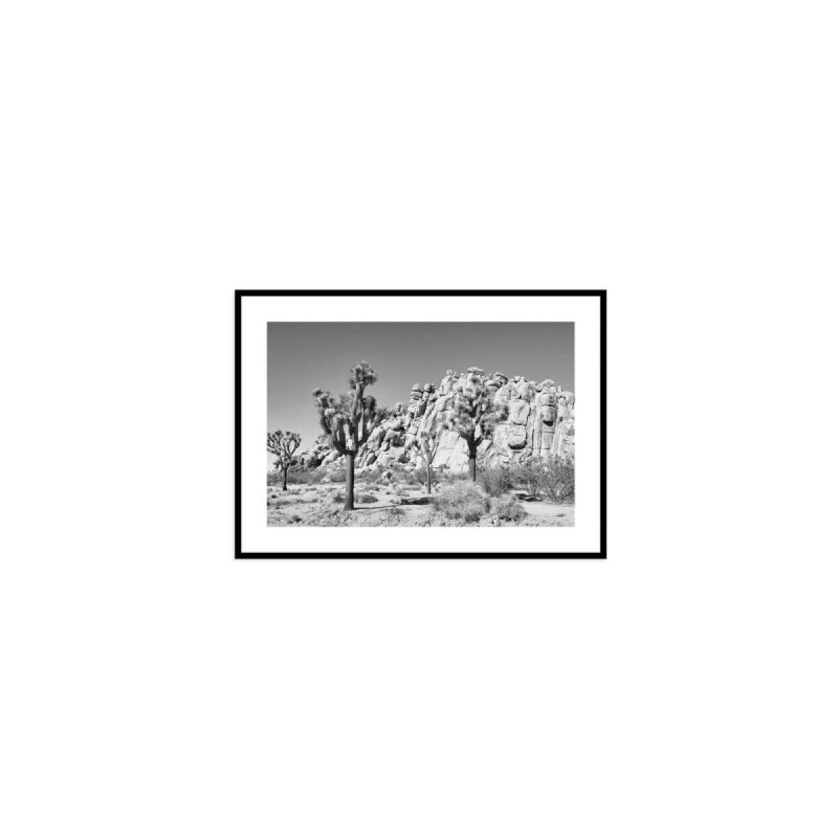 8f95f8e7cb620ae1c081008248991f0b Joshua Tree - Image 1