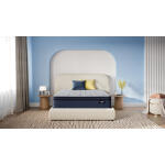 Ellawood Plush Pillow Top Mattress 1st 14