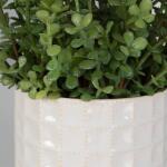 Edgewood Greenery, S/2 - Image 4