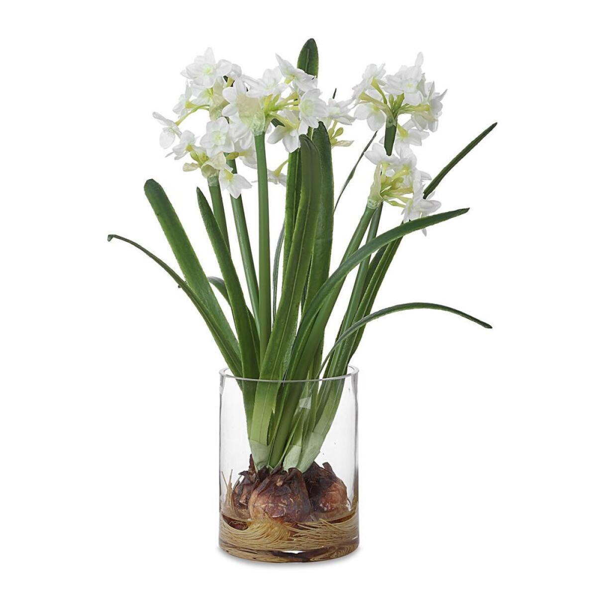 9169bb4f094636cee1b248d818960520 Lacey Daffodil Accent - Image 1