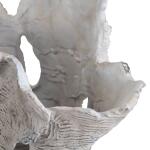 Deacon Coral Sculpture - Image 6