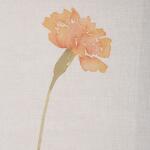 Wild Flourish Framed Prints, S/6 Art Art 13