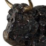 Bison Bust, Sculpture Accessories Accessories 17