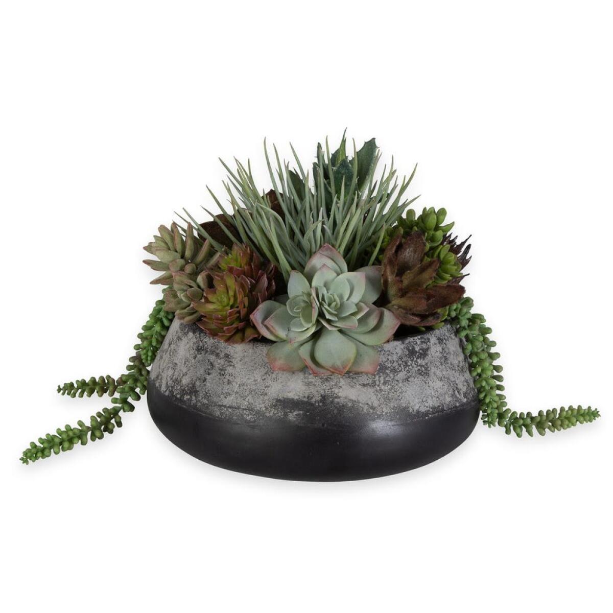 99cbe0c487d680e6314f49a3458ee52e Gobi Succulent Centerpiece - Image 1