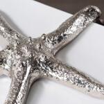 Silver Starfish - Image 4