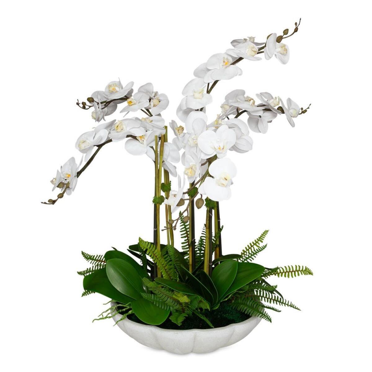 9ba3bc7776940675fa0fd7a2be5b40df Flourish Orchid Centerpiece - Image 1
