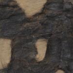 Ignite Wood Wall Decor, S/9 - Image 6