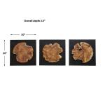 Kolini Wood Wall Decor, S/3 Wall Decor Brown 13
