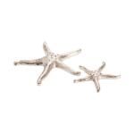 Silver Starfish - Image 3