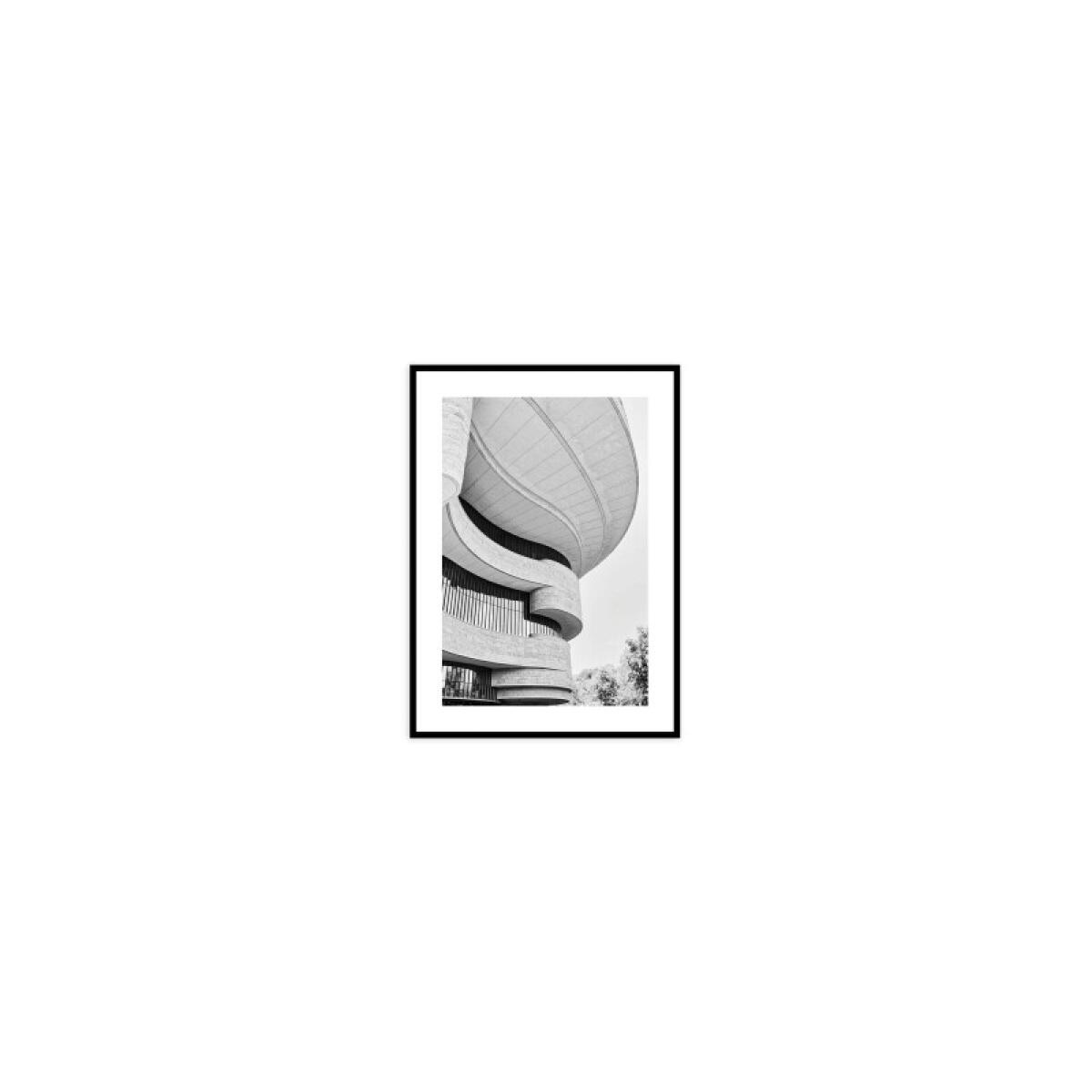 a63485c4ccc9e17a0fa4d6becb009aba Native Curves 1 - Image 1