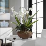 Moth Orchid Planter Accessories Accessories 12