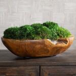 Kinsale Moss Centerpiece - Image 4