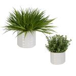 Edgewood Greenery, S/2 - Image 3