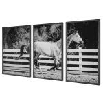 Galloping Forward Framed Prints, S/3 Art Art 13