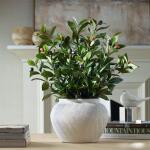 Elena Olive Centerpiece - Image 3