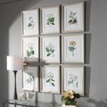 Antique Botanicals Framed Prints, S/9 - Image 7