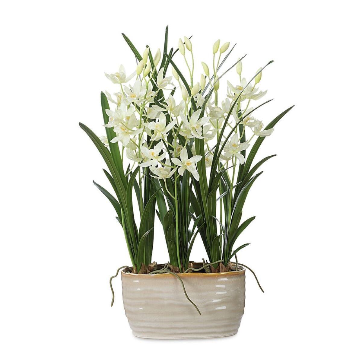 b5ad12c10b1ba847138413b558a9d98f Ariana Orchid - Image 1
