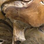 Sola Indoor-outdoor Side Table - Image 13