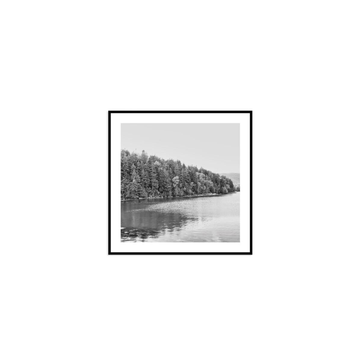 b85de6ab6b7b01ca2be7d19e606b86e9 Acadia Tree Line - Image 1