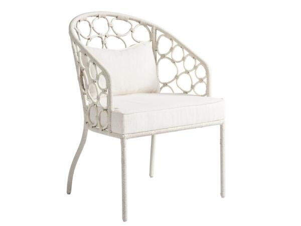 Weekender Coastal Living Home Collection Pebble Dining Chair - Image 5