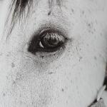 Eye Of The Beholder Framed Print - Image 4