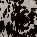 Chalina Armchair Chairs Chairs 12