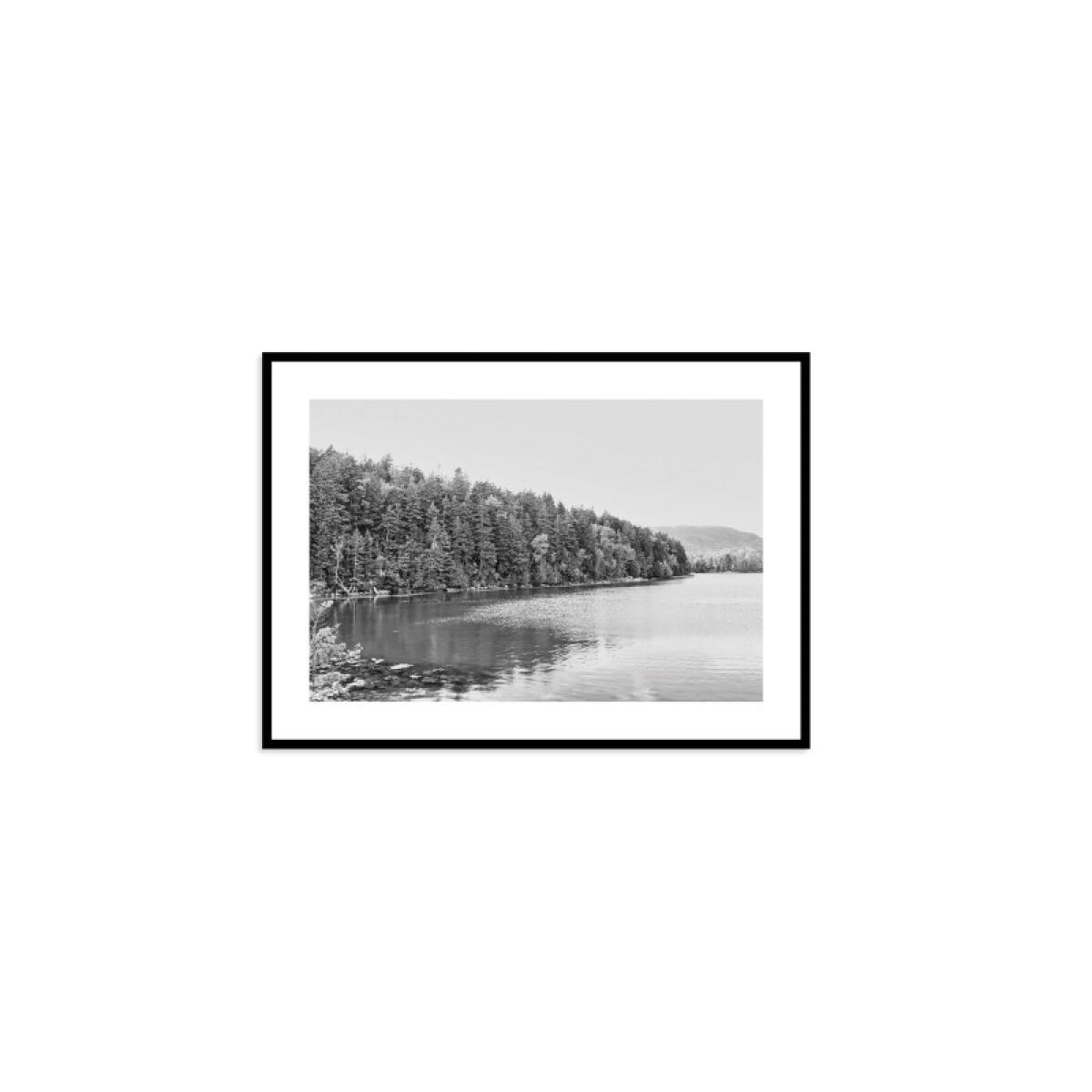 bef2c8416948a1a5d08f2b40f42a00c0 Acadia Tree Line - Image 1