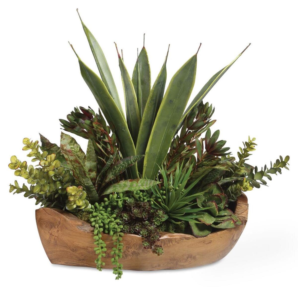 c4af3dec24526584b1e94685a860ad08 Salar Succulents - Image 1