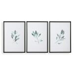 Simple Sage Framed Prints, S/3