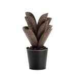 Medium Oasis Hand Finished Metal Cactus - Image 3