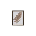 Sepia Fern Frond