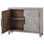 Adalind 2 Door Cabinet - Image 6