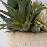 Seaside Succulents, S/2 - Image 6