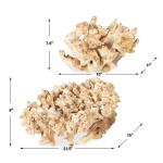 Elemental Root Indoor-outdoor Sculptures, S/2 - Image 8