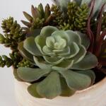Mesa Succulent Accent - Image 7