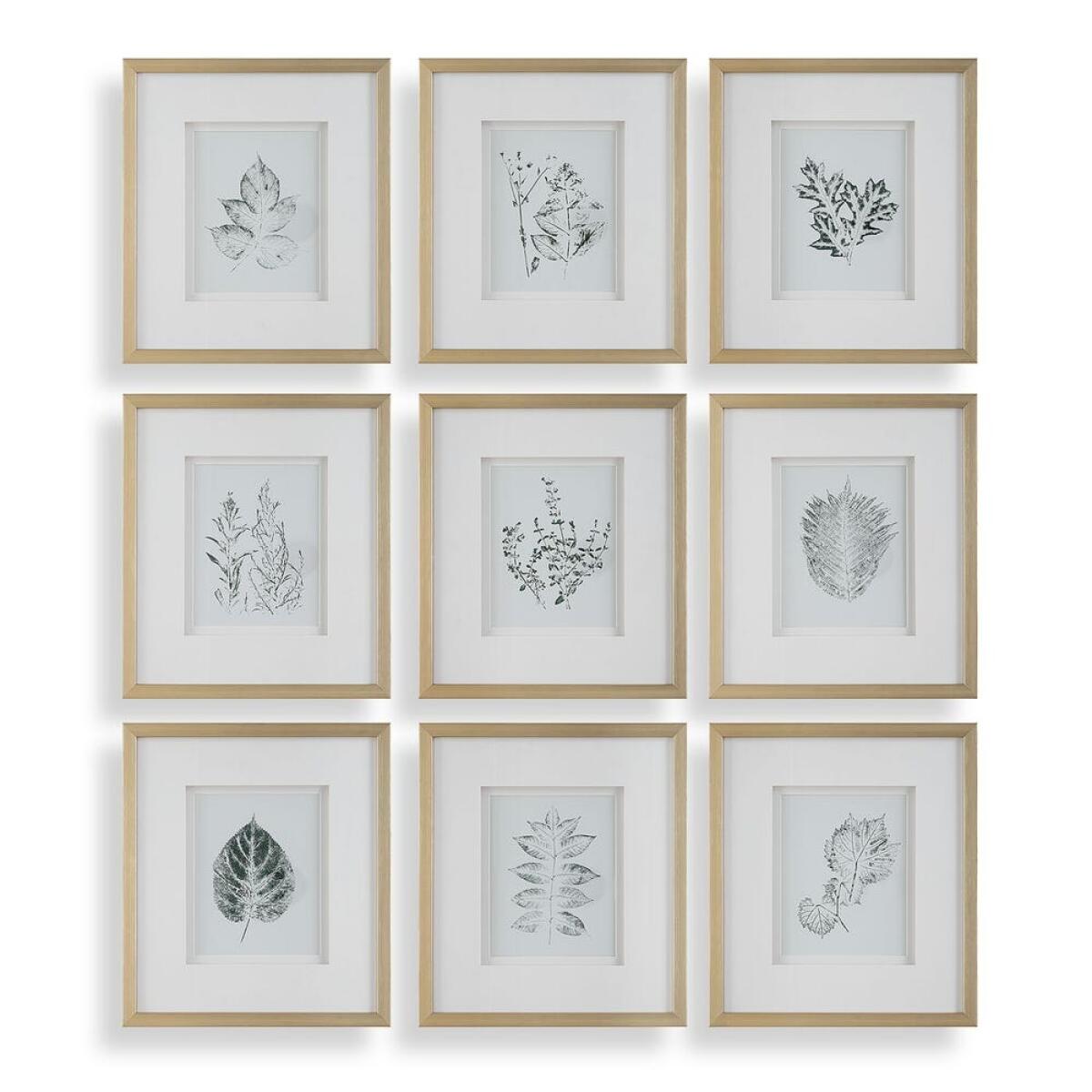 d1eeb4ab4434119e76cab25293870955 Nature's Script Framed Prints, S/9 - Image 1