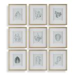 Nature's Script Framed Prints, S/9