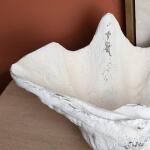 Henley Shell Sculpture - Image 6