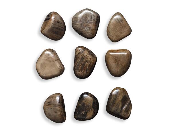 Pebbles Wood Wall Decor, Walnut, S/9 Wall Decor Brown