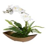 Transcend Orchid - Image 4