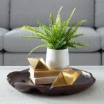 Boston Fern Accent - Image 2