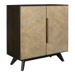 Reina 2 Door Cabinet - Image 4