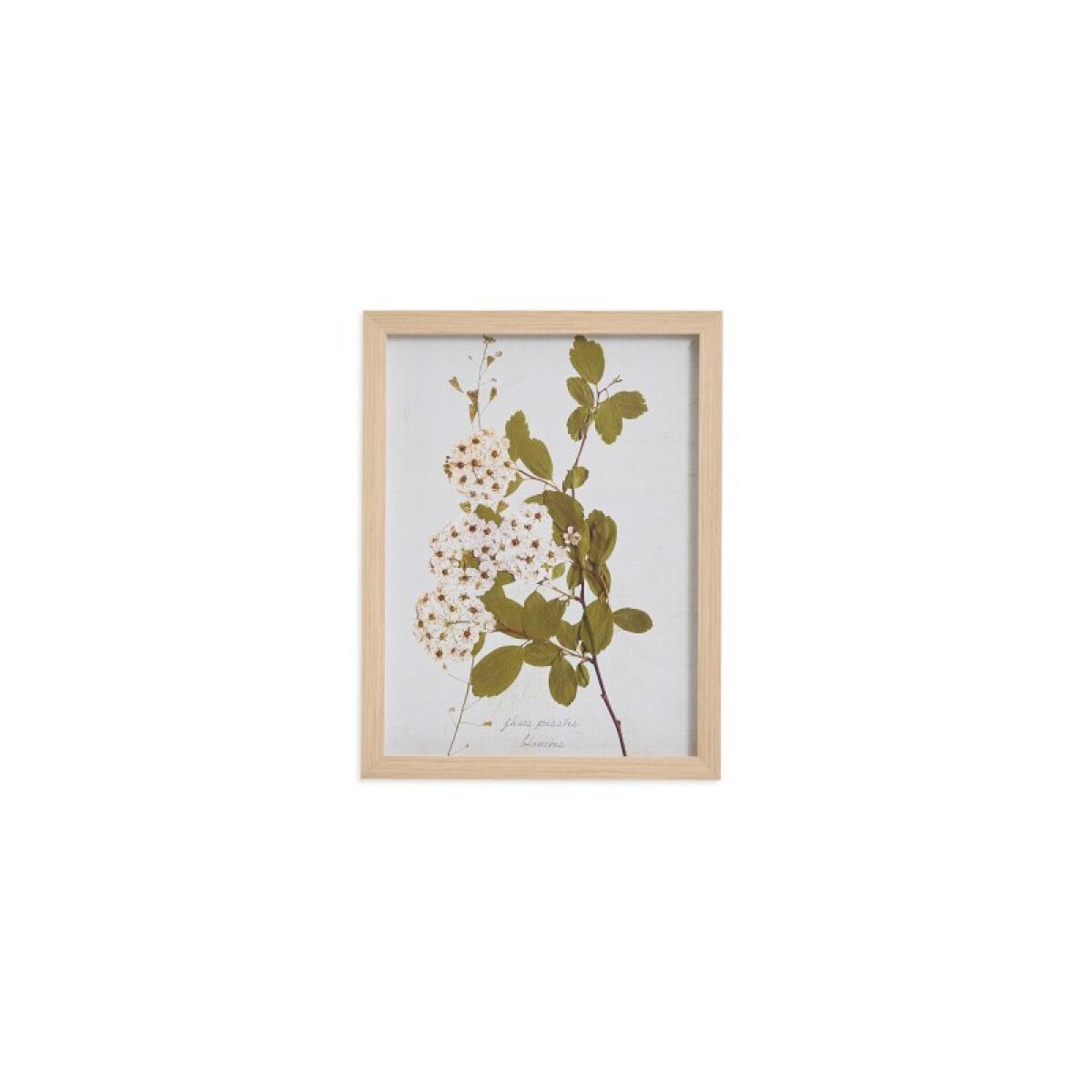 d9ef2d58e8cc0e645977f4d1de68c742 Pear Tree Branch - Image 1